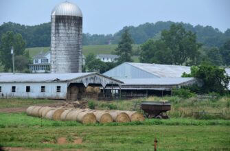 yield farm ton on beefy finance