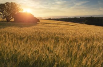 yield farm usdt on yearn finance guide