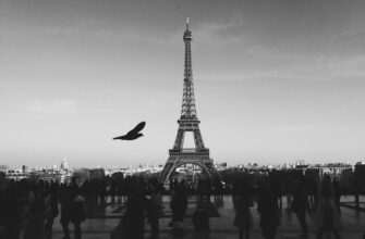 airdrop income tax penalties france