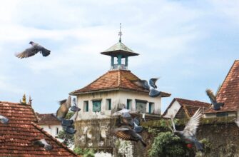 airdrop income tax penalties indonesia