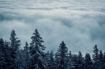 anonymize funds in cold storage tutorial