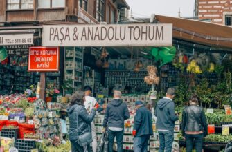 buy toncoin low fee in istanbul