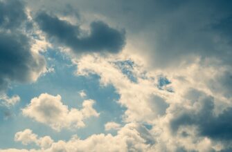 claim arb airdrop on optimism