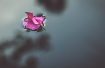 claim ethereum airdrop on blast