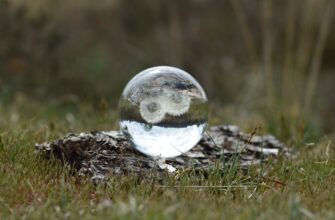 collect ethereum airdrop on optimism