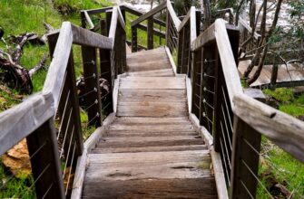 earn interest avax on compound step by step