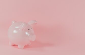 earn interest cardano on beefy finance best apy