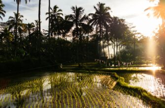exchange eth with mastercard in bali