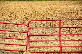 farm atom on yearn finance no lock