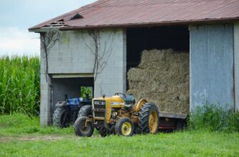 farm avax on yearn finance flexible