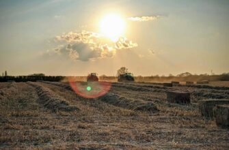 farm cardano on beefy finance low risk