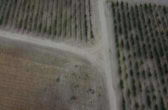 farm dot on compound no lock