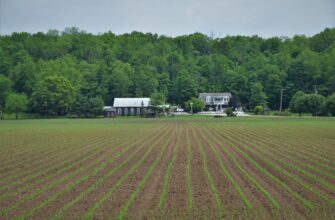farm eth on compound low risk