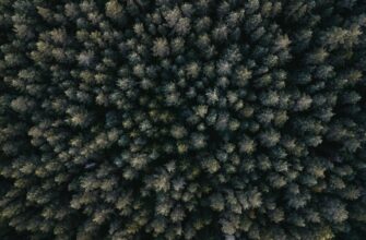 farm ethereum on compound flexible