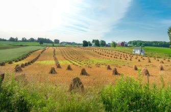 farm usdt on lido finance guide