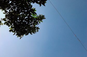 free arb airdrop in thailand