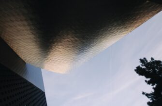 free avax airdrop on polygon