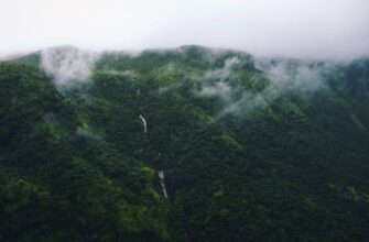 free ethereum airdrop in brazil