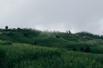 free ethereum airdrop in indonesia