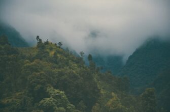 free ethereum airdrop in philippines