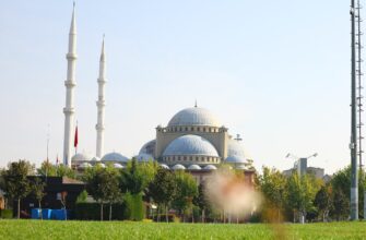 free pepe airdrop in turkey