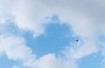free pepe airdrop on arbitrum