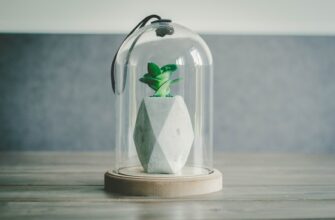 free pepe airdrop on blast