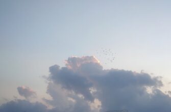 free zk airdrop on layerzero