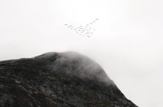 free zk airdrop on scroll
