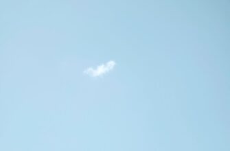 get zro airdrop on starknet