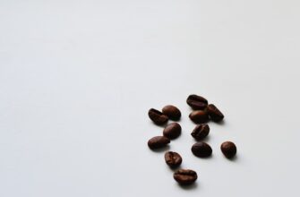 guard seed phrase without kyc for beginners