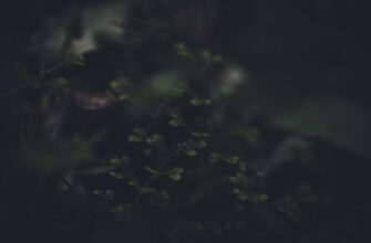 hedging eth on kraken using bots 1 minute timeframe