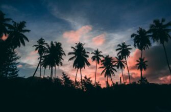how to buy bitcoin in 2025 in davao