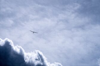how to claim avax airdrop airdrop list