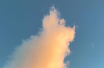 how to claim ethereum airdrop airdrop list