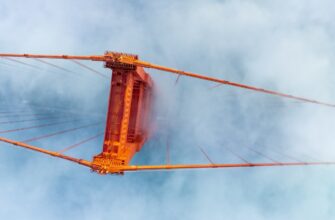 how to free arb airdrop massive
