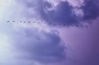 how to qualify for ethereum airdrop massive