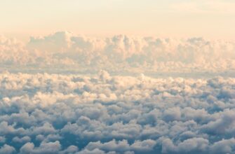 how to receive bitcoin airdrop without gas fee