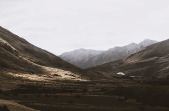 how to report bitcoin gains in pakistan