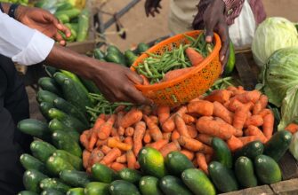 how to report defi yield in nigeria