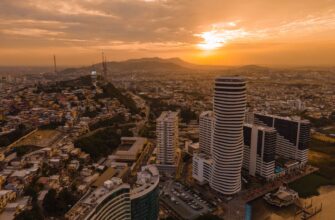 how to report nft profit in brazil