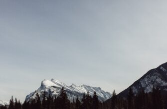 how to report staking rewards in canada