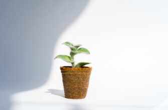 is it safe to recover seed phrase anonymously