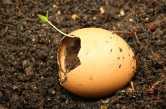 is it safe to recover seed phrase safely