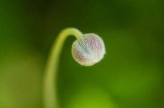 is it safe to secure seed phrase safely