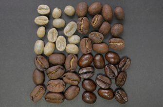 is it safe to store seed phrase without kyc