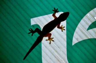 is nft profit taxable in nigeria 2025
