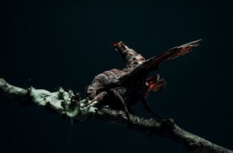 lend crypto usdc on kraken staking