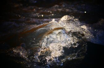liquidity mine ada on aave highest apy
