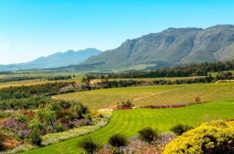 pay taxes on defi yield in south africa